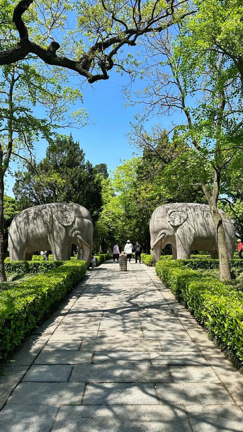探索南京文化旅游的魅力